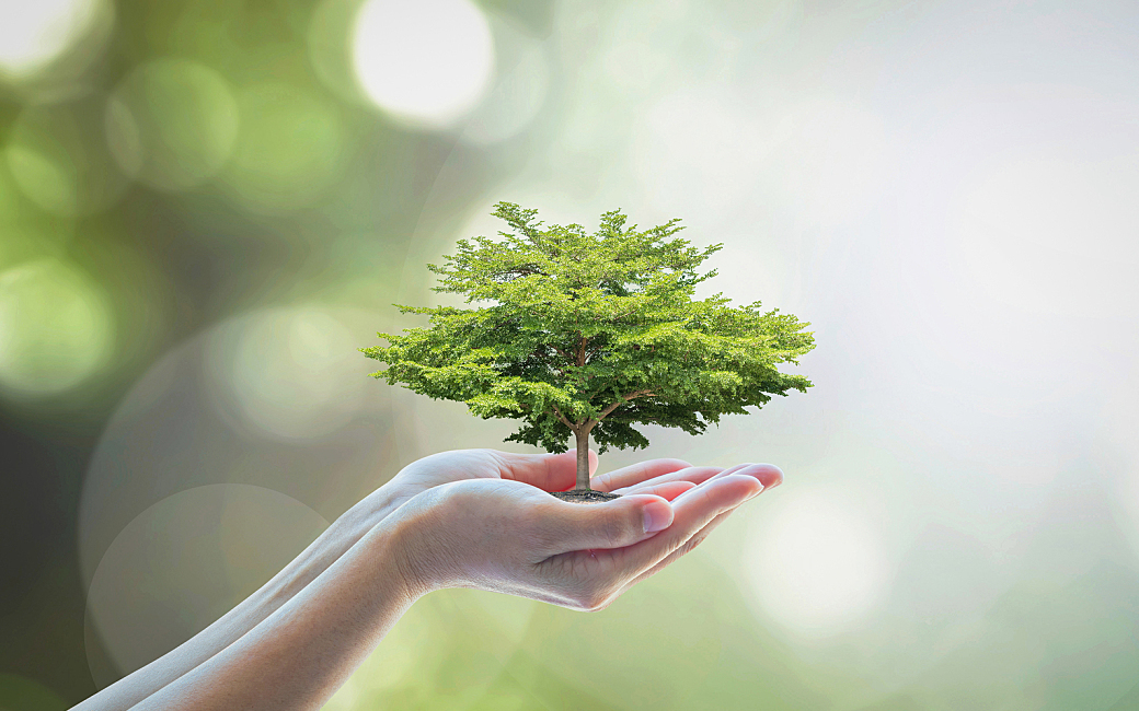 How To Be Green Friendly, While Utilizing A Printer In The Office.